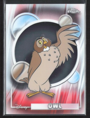 104 owl 2026 - #104,