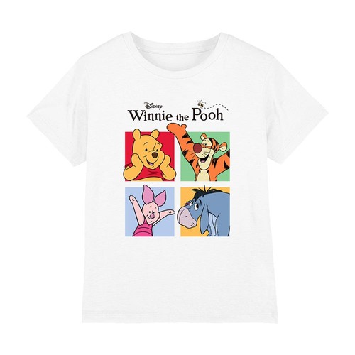 Winnie the pooh - winnie,